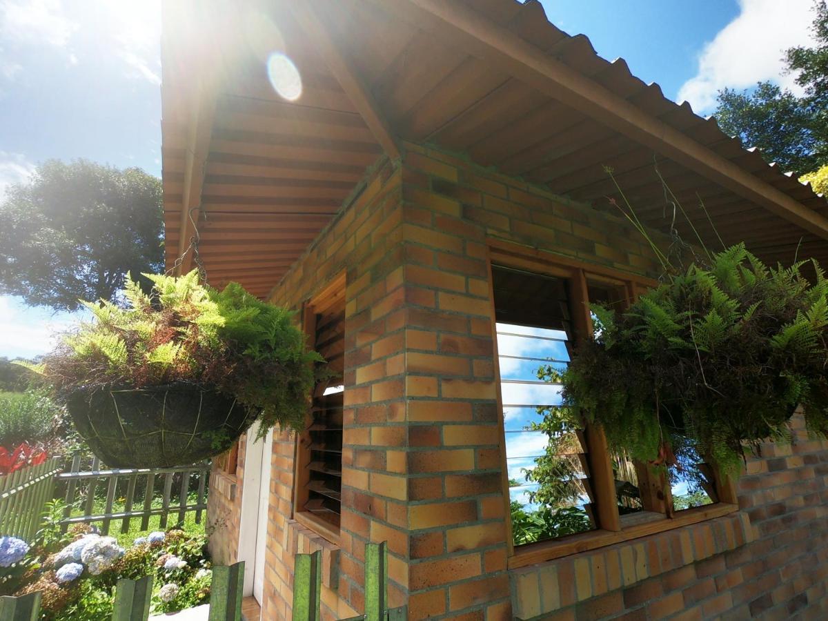 Tribu Ecohostal Los Santos  Zewnętrze zdjęcie